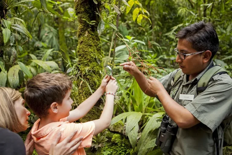 Rainforest Education Tours for Kids – Book Hands-On Adventure & Learning Trips